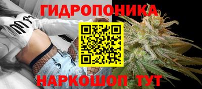 ECSTASY Новозыбков