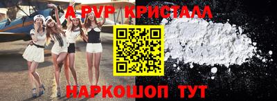 ECSTASY Новозыбков
