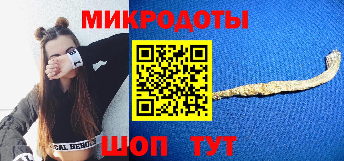 Псилоцибиновые грибы мицелий Томск
